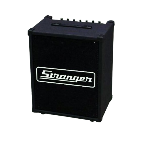 Stranger Cube-40 Amplifier