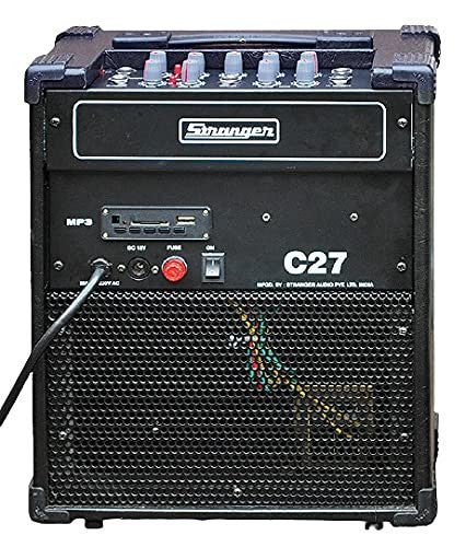 Stranger Cube C27 Guitar Amplifier