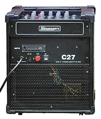 Stranger Cube C27 Guitar Amplifier