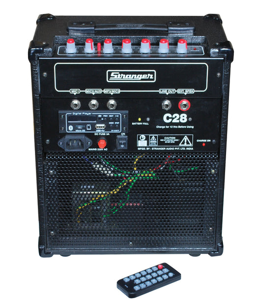Stranger Cube C28 Guitar Amplifier