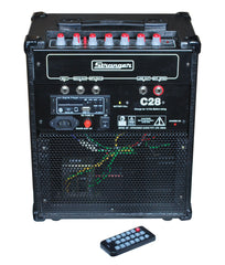Stranger Cube C28 Guitar Amplifier
