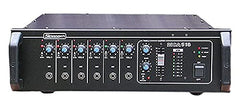 Stranger Mono Amplifier MCA516
