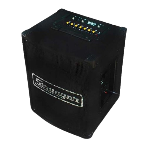 Stranger PM102 Mixed Amplifier