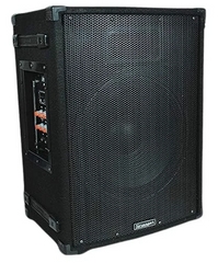 Stranger PM162 160 Watt Amplifier Bluetooth Speaker With Wireless Microphone