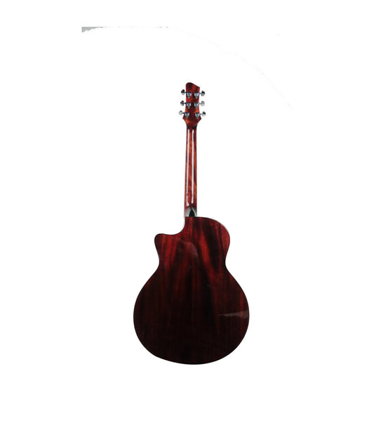 Strydom GA241C Acoustic guitar