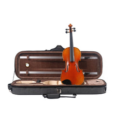 Strydom HV41 All solid Acoustic Violin