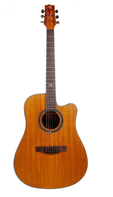Strydom Performance Series P141C NM - Dreadnaught shaped Acoustic Guit ...