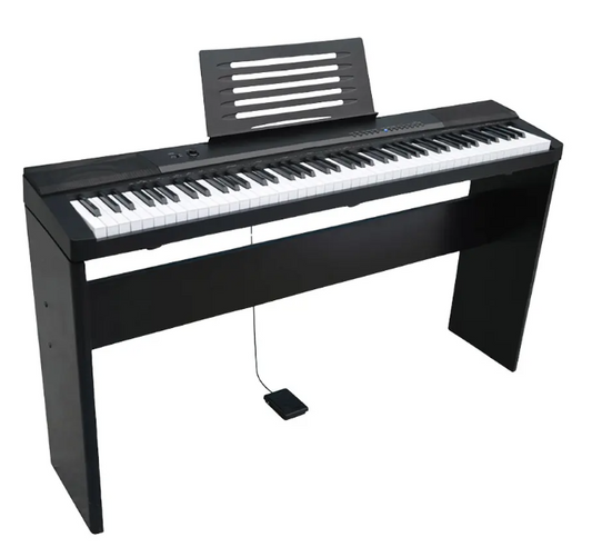 TECHNO Digital Piano TM-P885