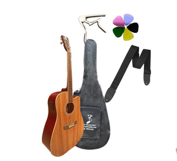 Techno TM-41 EQ3 Semi-Acoustic Guitar