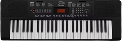 Trinity PA-49X Digital Portable Keyboard