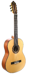 Valencia 300 Series Classical Guitar 4/4 size Cutaway with Electronics VC304CE