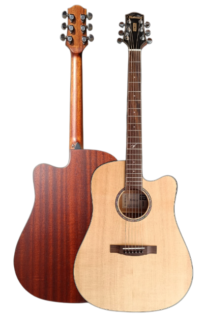 Westwood DC-10S Acoustic Guitar